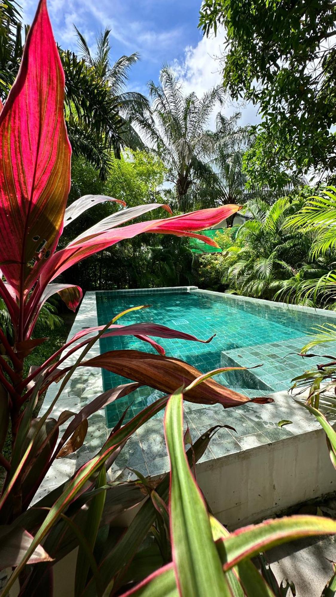Salad Beach Guest House Ko Pha Ngan Bagian luar foto
