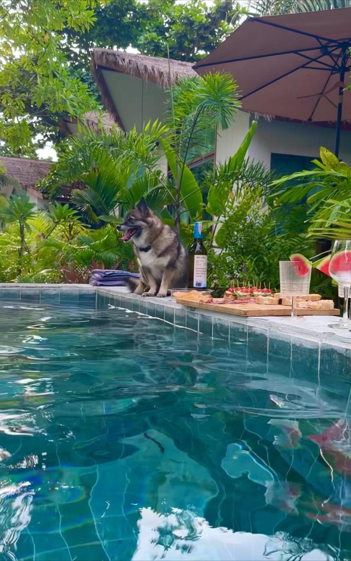 Salad Beach Guest House Ko Pha Ngan Bagian luar foto